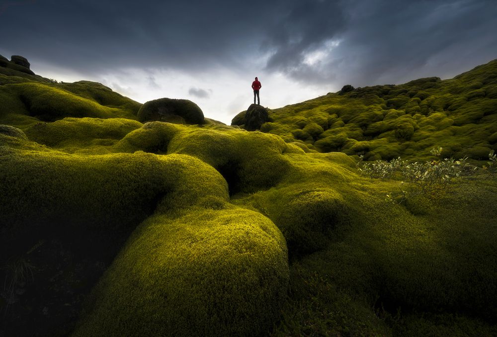 Land of Fairies and Trolls