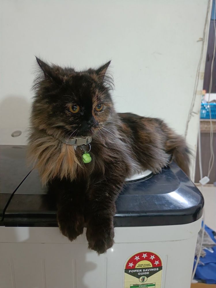 Photograph by Monika Kushwaha