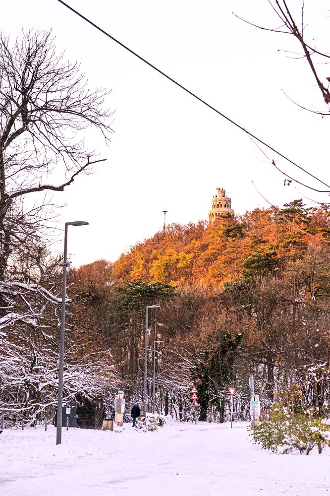 Фотография автора Daniel Casanova Ribalta