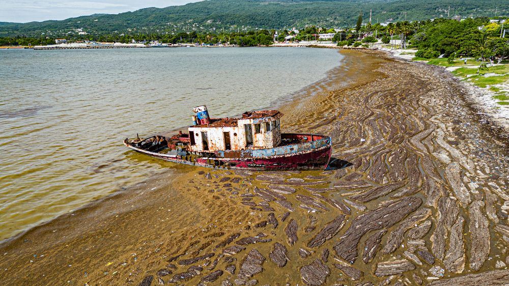 Photograph by Eddy Vittini