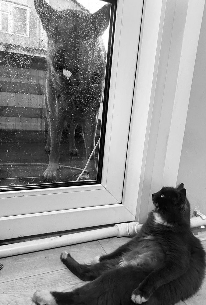 Photograph by Елена