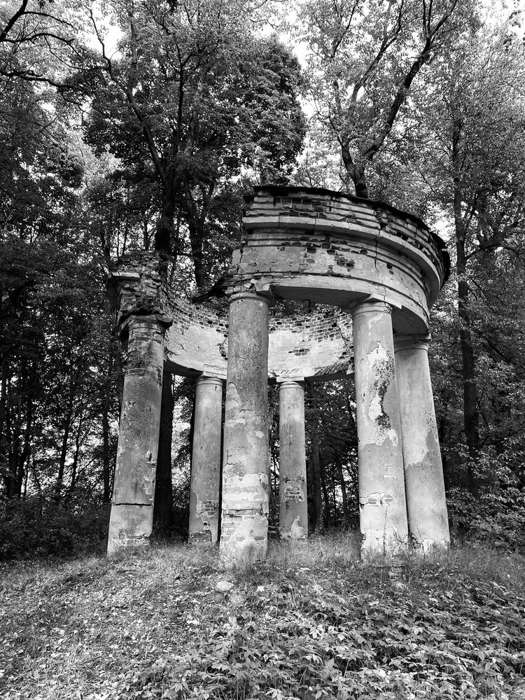 Photograph by Елена