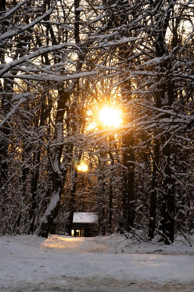 Фотография автора Daniel Casanova Ribalta