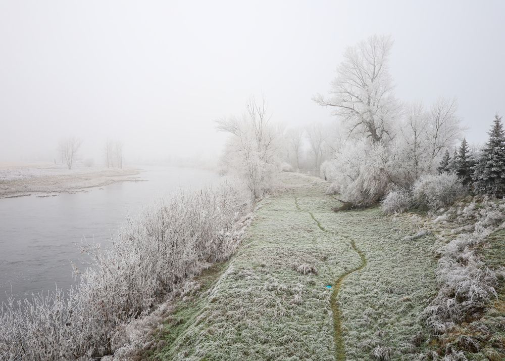 Фотография автора Veronika