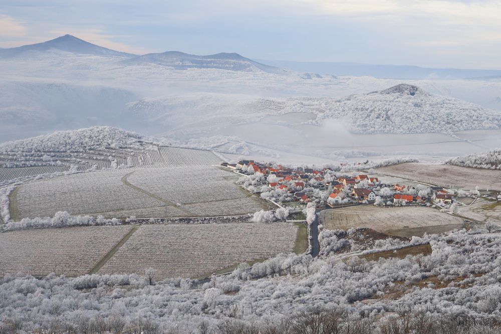 Фотография автора Veronika