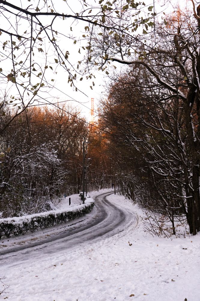 Фотография автора Daniel Casanova Ribalta