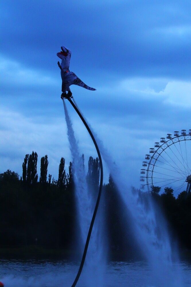 летающий дракончик