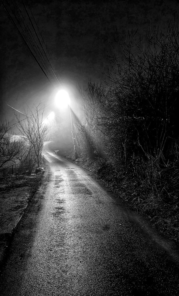 Photograph by Любовь Колмакова