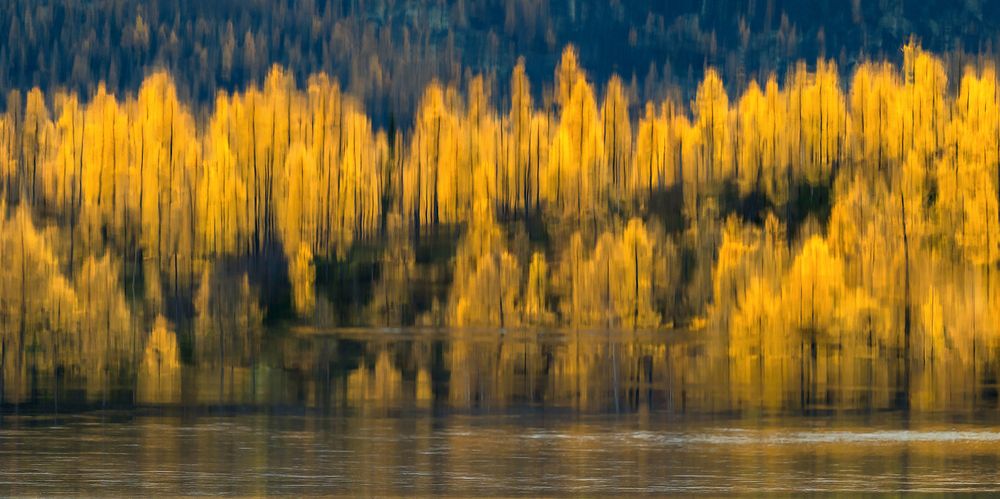 Золотые отражения реки Курейки