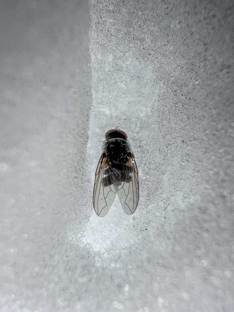 Photograph by Natalia Ushakova