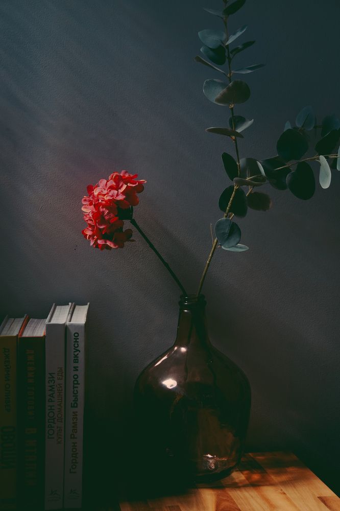 Photograph by Julia Smilovitsky