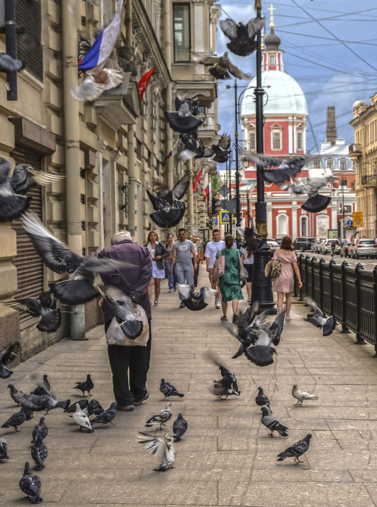 Фотография автора Ольга Виноградова