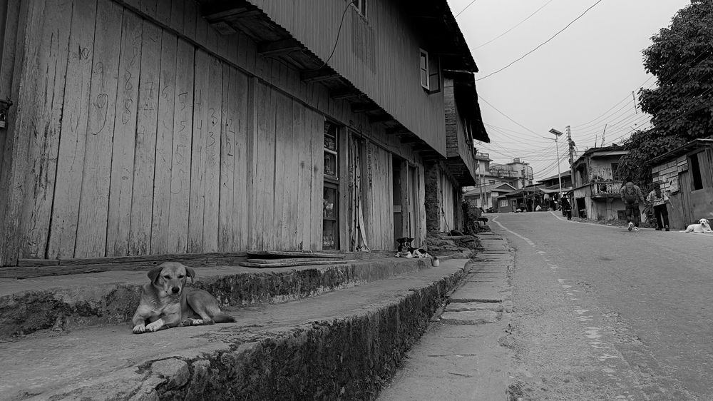 Photograph by ARANYA KAR