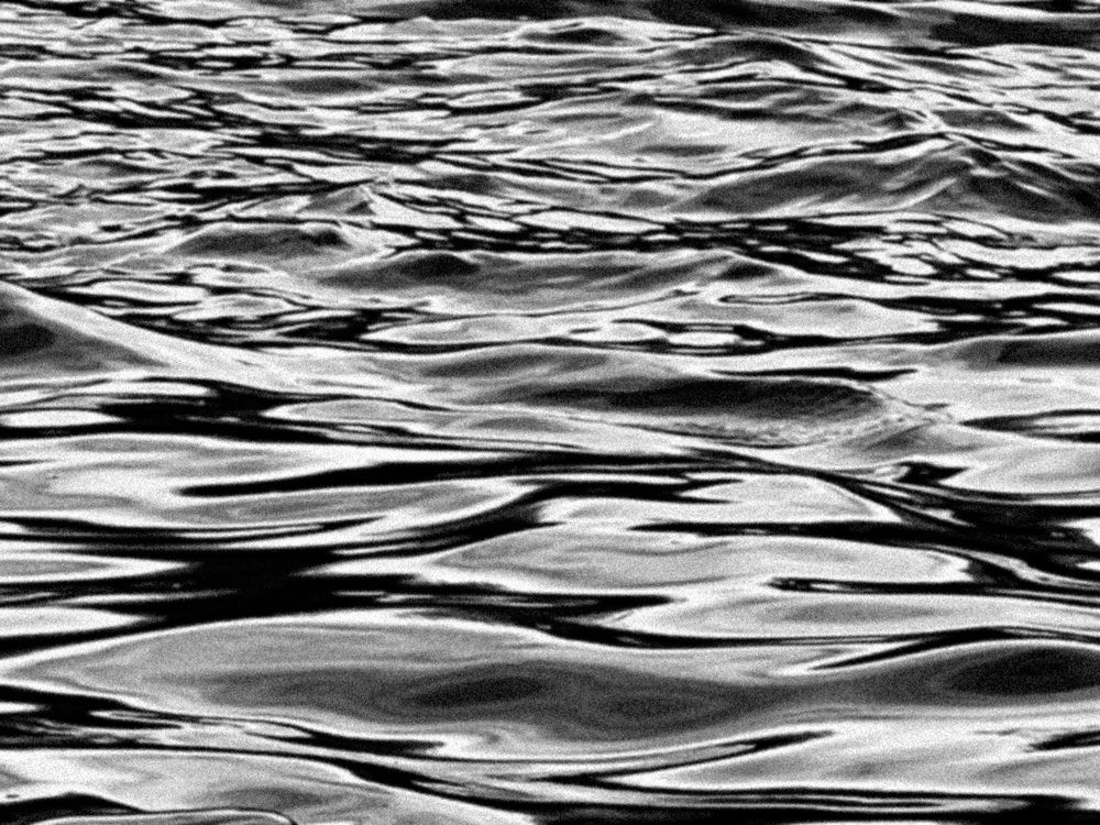 Photograph by Elvira