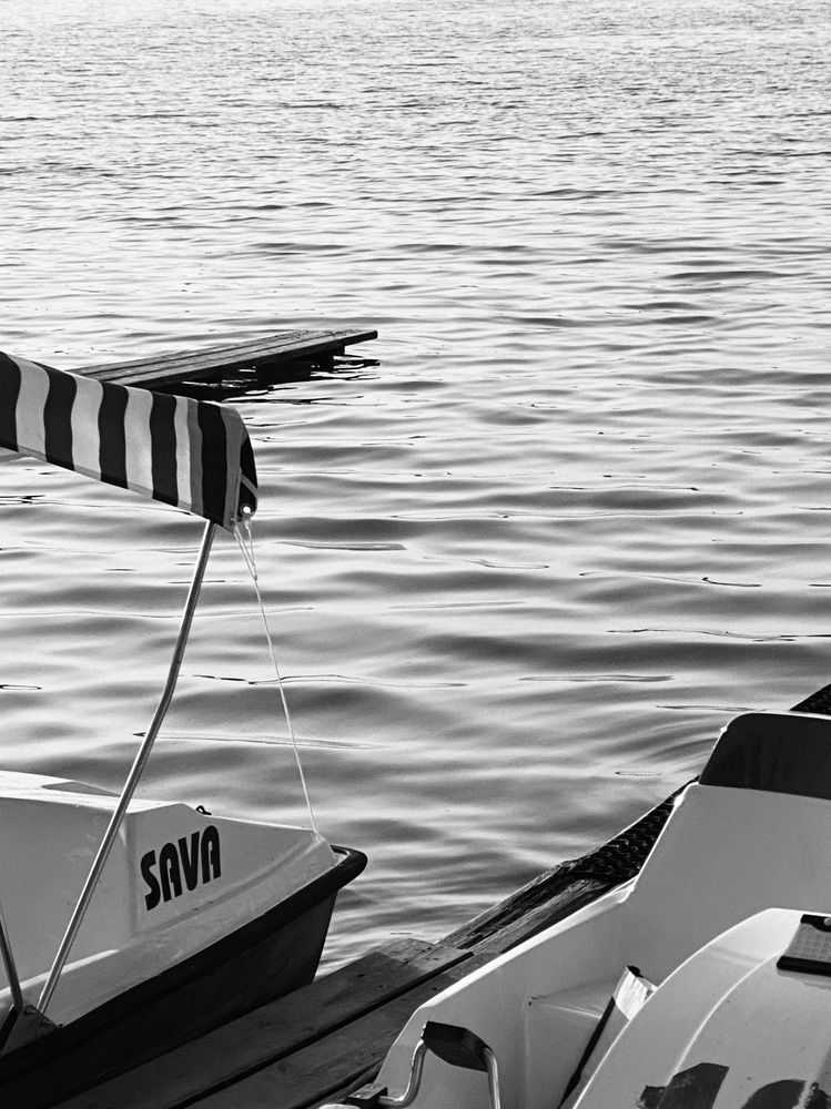 Фотография автора Алиса