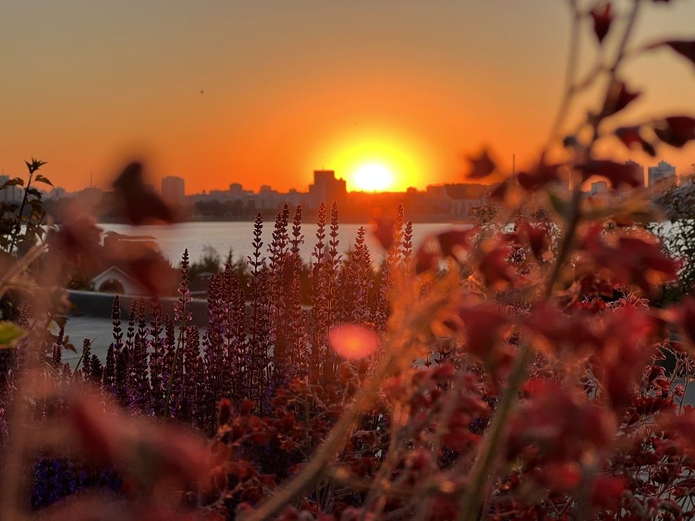 Photograph by Elvira