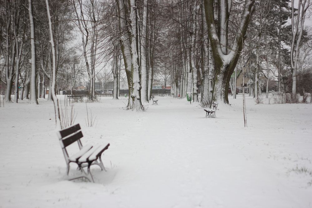 Photograph by Barbara