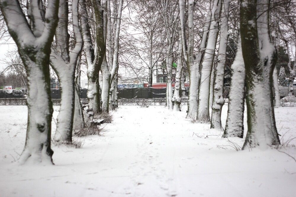 Photograph by Barbara