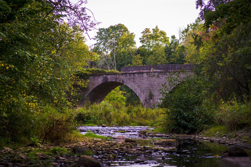 Фотография автора Виктор Конев