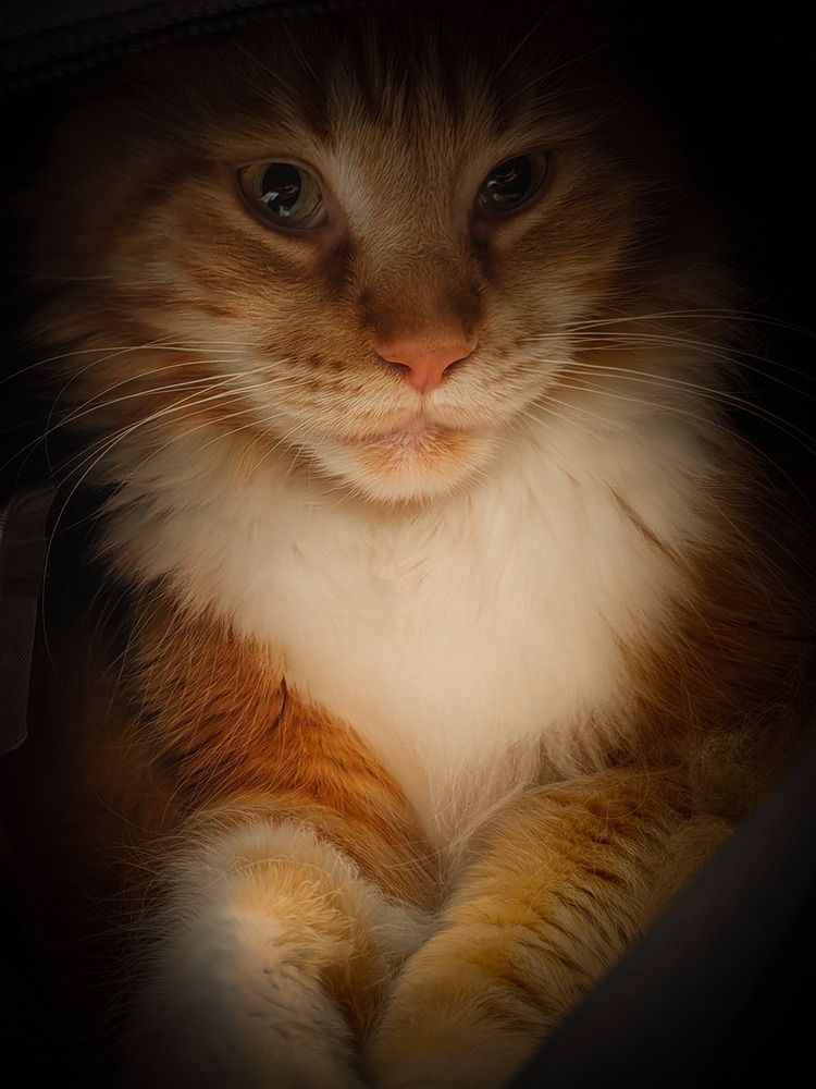 Photograph by Алексей Глухов