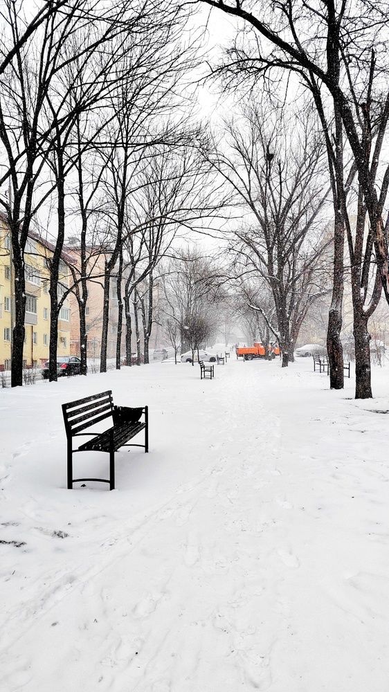 Фотография автора Вероника Жуковец