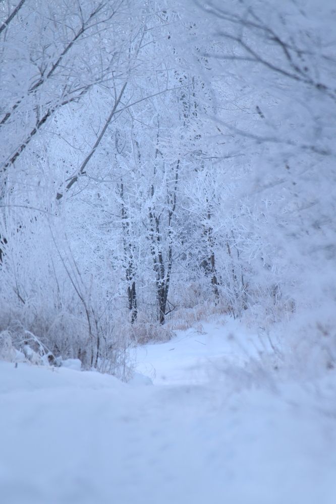 Photograph by Тимофей Федоровцев