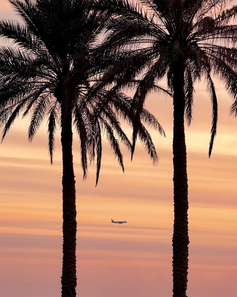 Photograph by Ali Miri