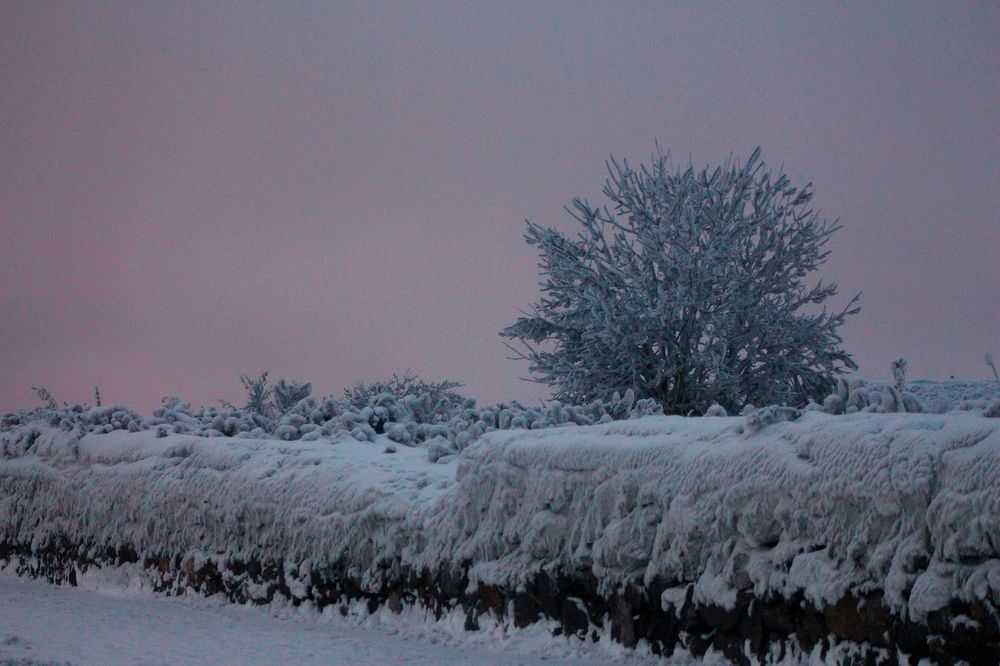 Снежный сюжет...