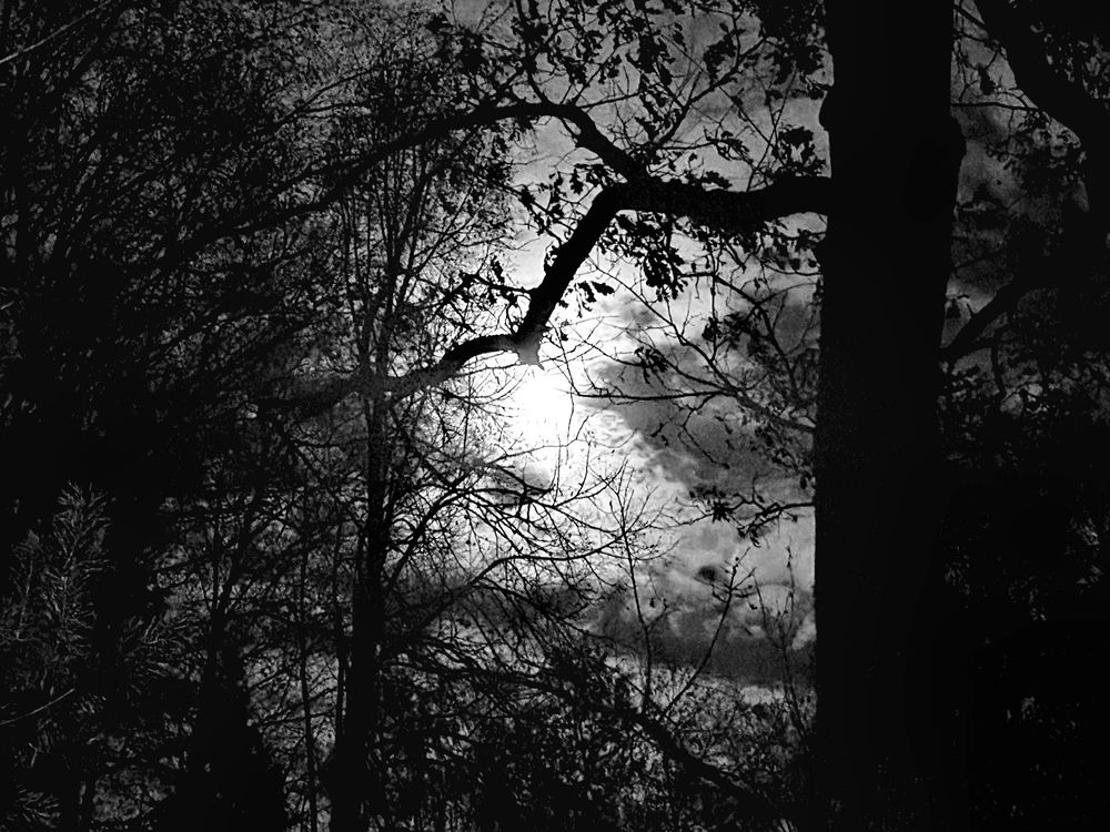 Photograph by Ольга Гирусова