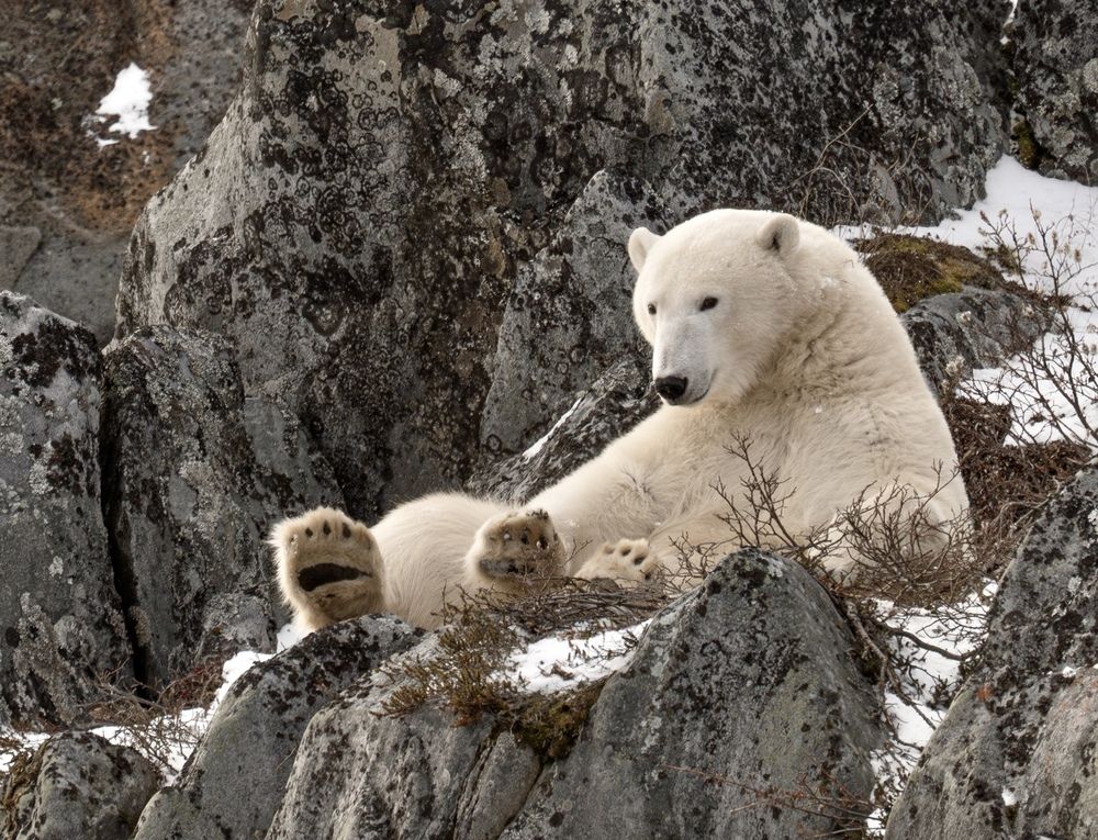Photograph by Владимир Цветов