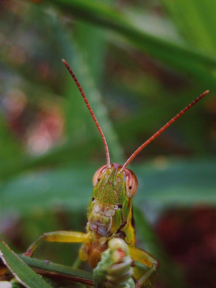 Photograph by Khairul Zamzami