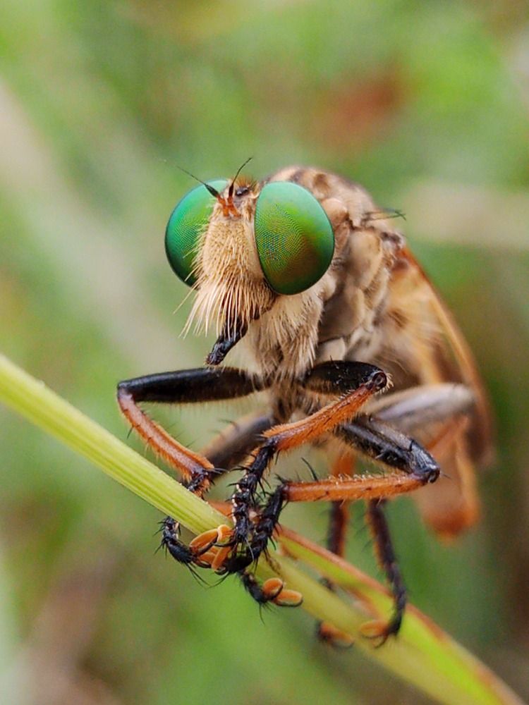Photograph by Khairul Zamzami