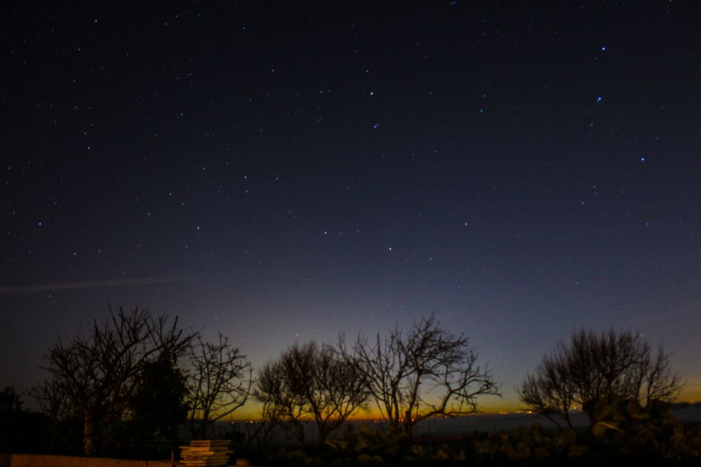 Photograph by Francisco Ferreira