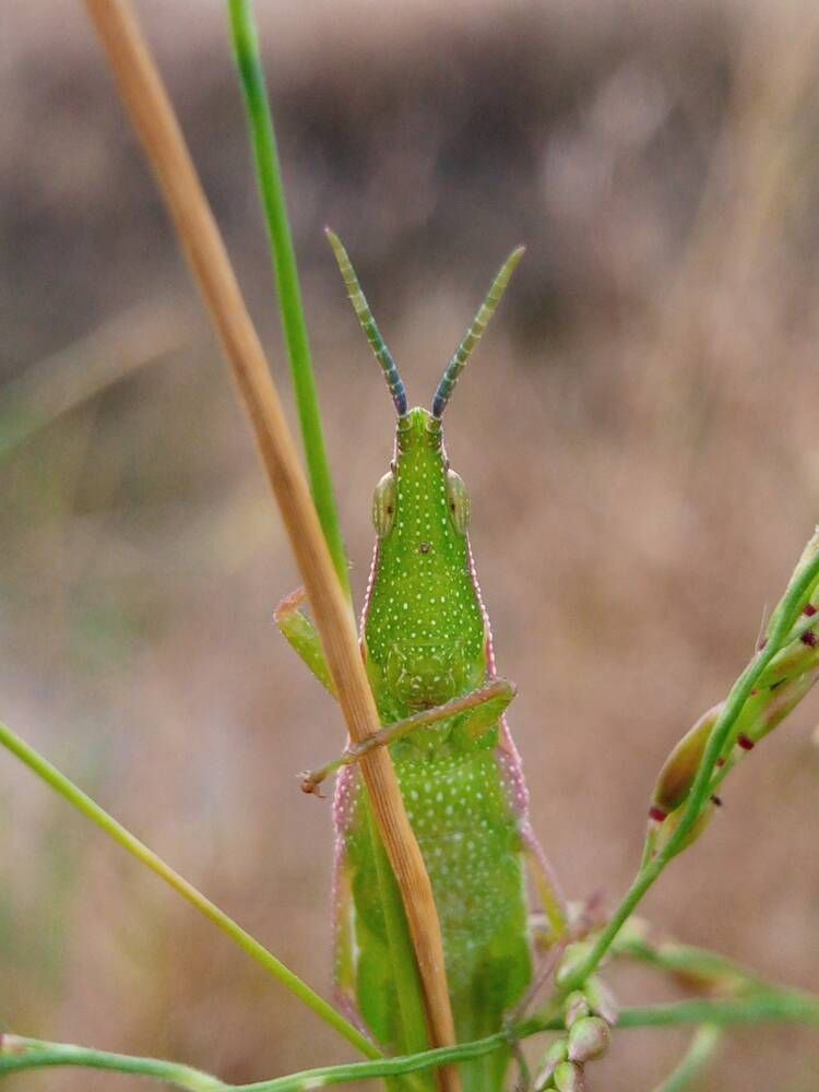 Photograph by Khairul Zamzami