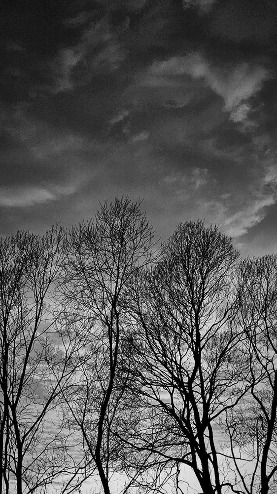 Photograph by Олена Лещенко