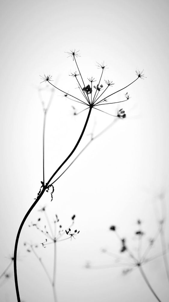 Photograph by Олена Лещенко