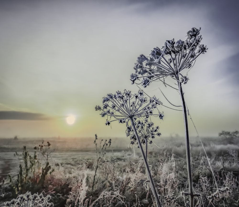 Photograph by Ринат Файзуллин