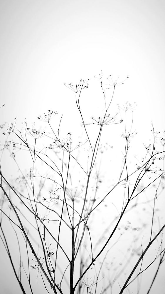 Photograph by Олена Лещенко