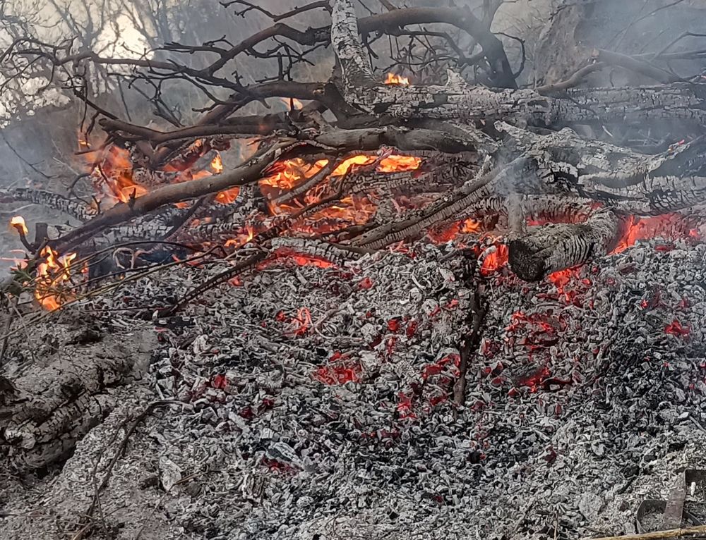 Photo #11903111