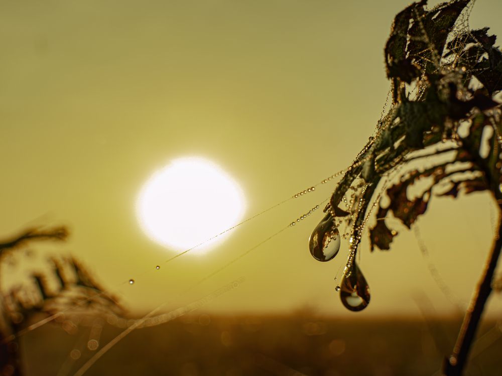 Photograph by Ринат Файзуллин