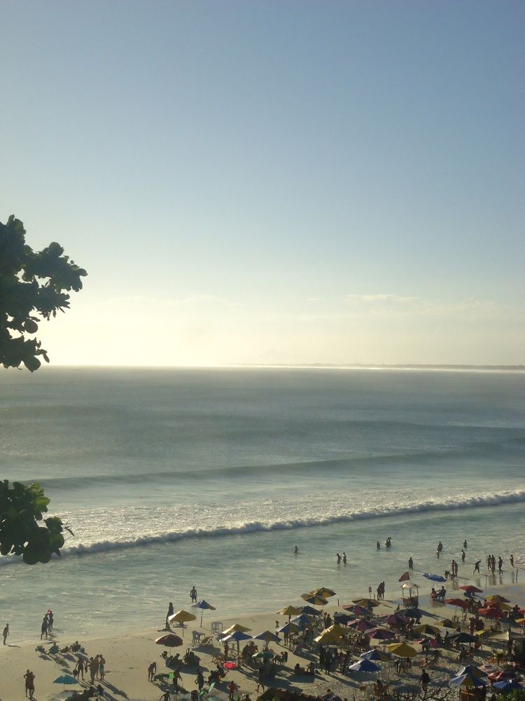 Photo #11903167