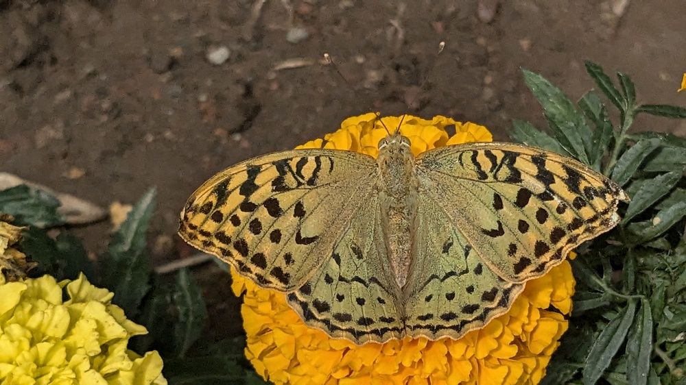 Photograph by Lilit Petrosyan