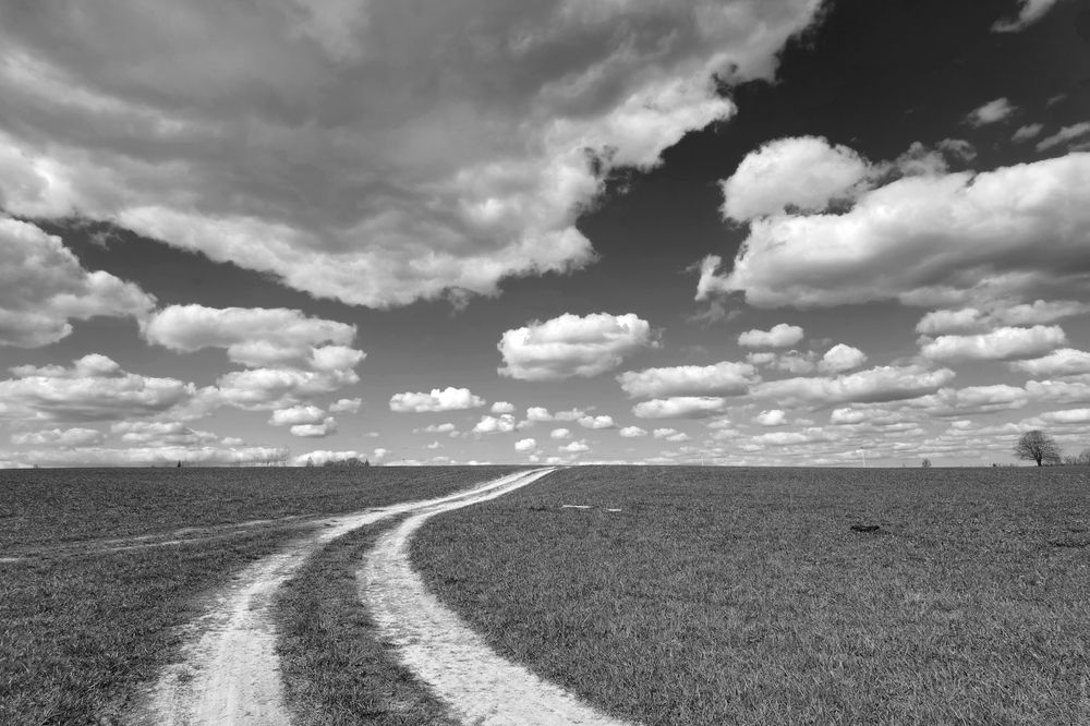 Photograph by Ирина Заколдаева