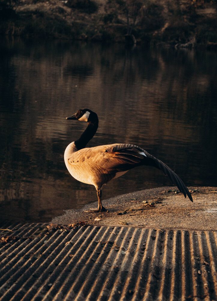 Photograph by Inha Dybchenko