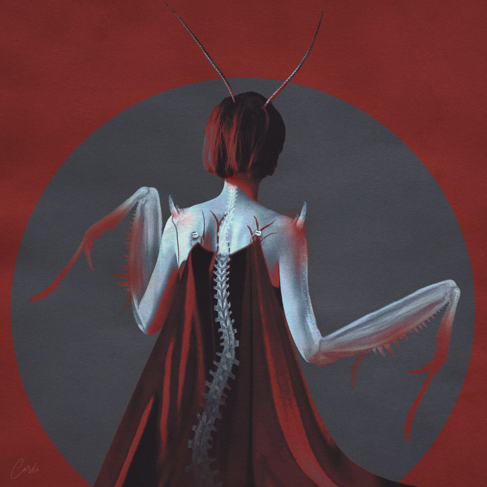 Photograph by Lana Cardi