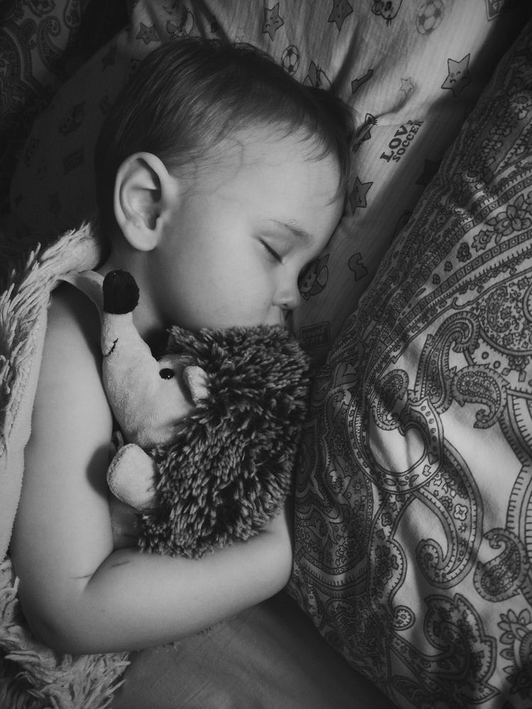 Photo #11903250