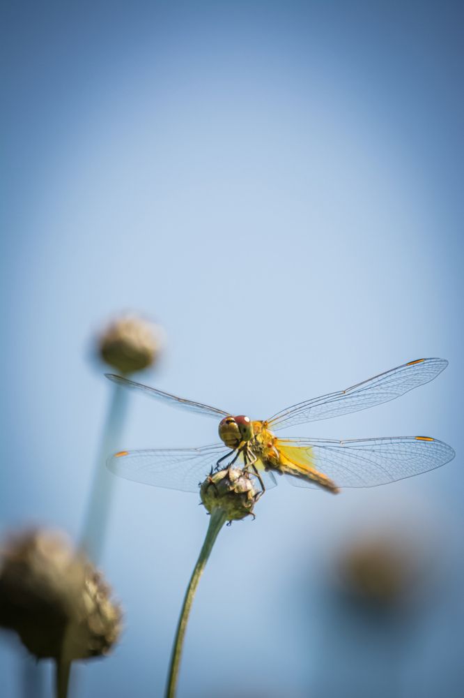 Photograph by Евгений Ульянчев