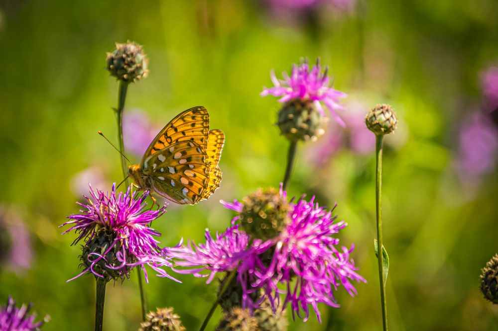 Photograph by Евгений Ульянчев