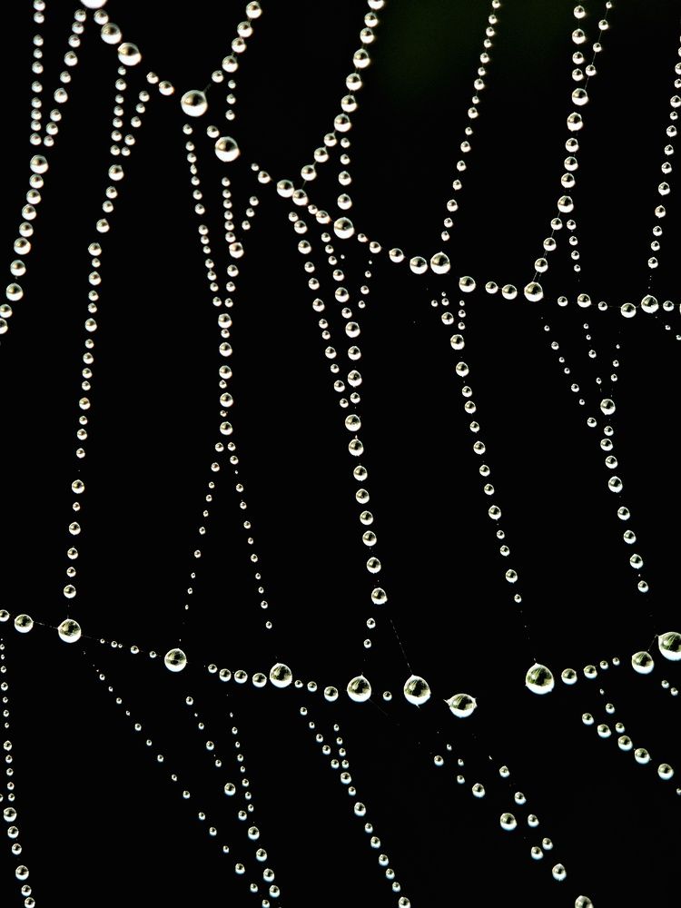 Фотография автора Ramprasad Das