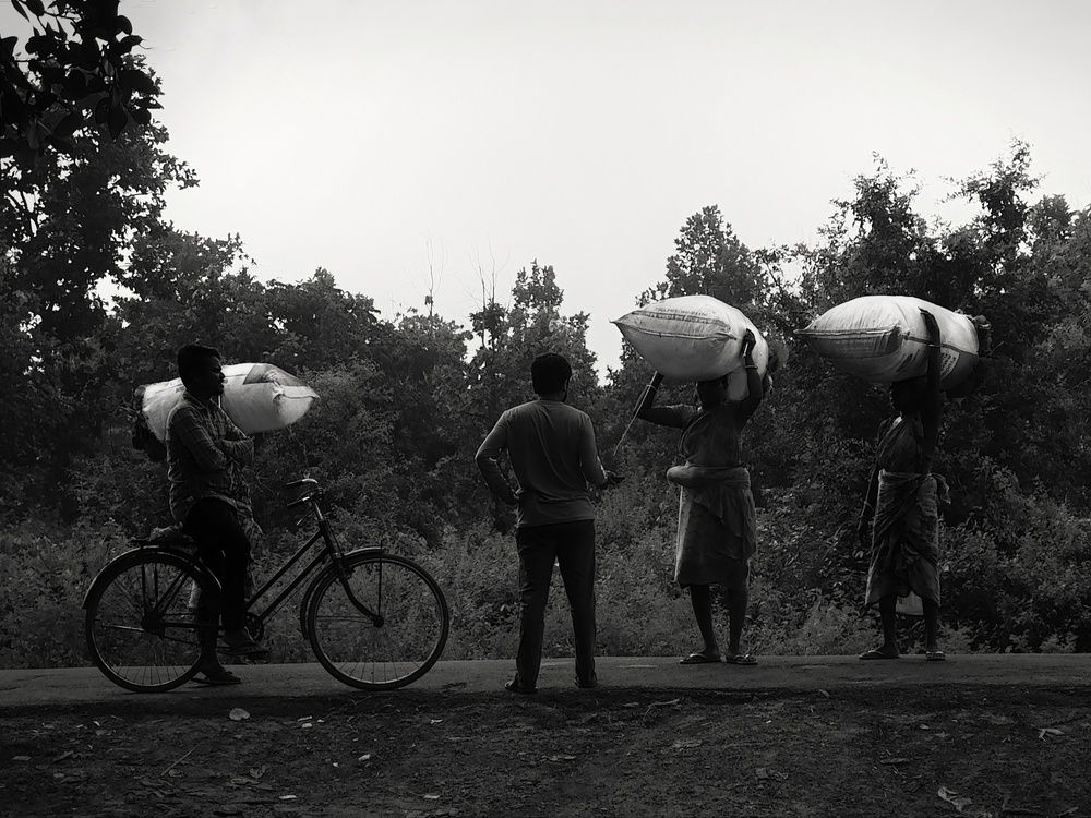 Фотография автора Ramprasad Das